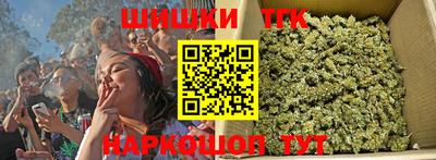 гашик Дубна