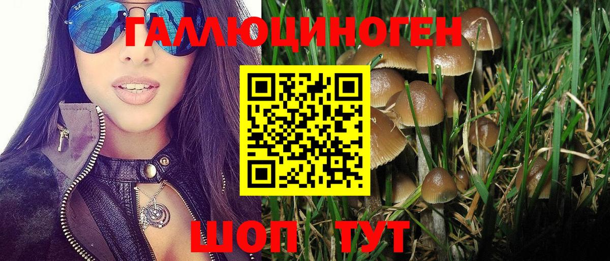 МЕФ Малоярославец