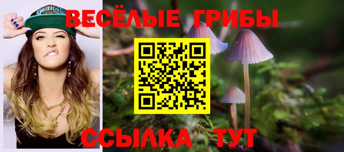 Галлюциногенные грибы GOLDEN TEACHER Малоярославец
